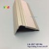 Nẹp Chống Trơn L41x25mm