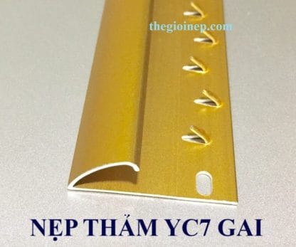 Nẹp Sàn Thảm YC7 Gai