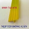 Nẹp Đồng Gân T25MM